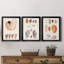 Collection de coquillages I - ensemble de 3 peintures sur toile encadrées-515866380-515866379