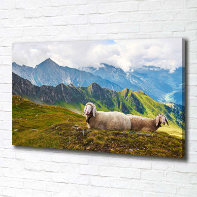 Sheep In The Alps - Wrapped Canvas Print
