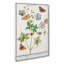 Butterflies & Pelargonium Flowers by A.B. De Boodt - Wrapped Canvas Painting-55362467