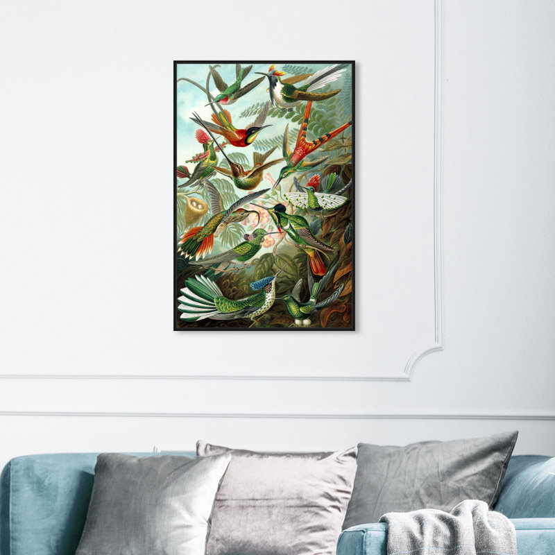 Haeckel - Étude d'oiseaux, impression, H 15 po x l 10 po, Toile avec cadre noir