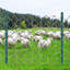 VEVOR Green Metal Line Post