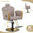 Salon Chair For Hair Stylist,Barber Chair For Home Barbershop With Professional Hydraulic Pump -Gray/Gold-108808824-129176280