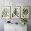 Fougères de collection I, toile encadrée de qualité supérieure - prête à être accrochée-69982722-69982718