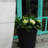 Slovan Handmade Pot Planter-1164299235-1164298799