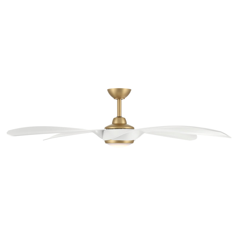 Ventilateur de plafond intérieur / extérieur à DEL 60 po Mortyn