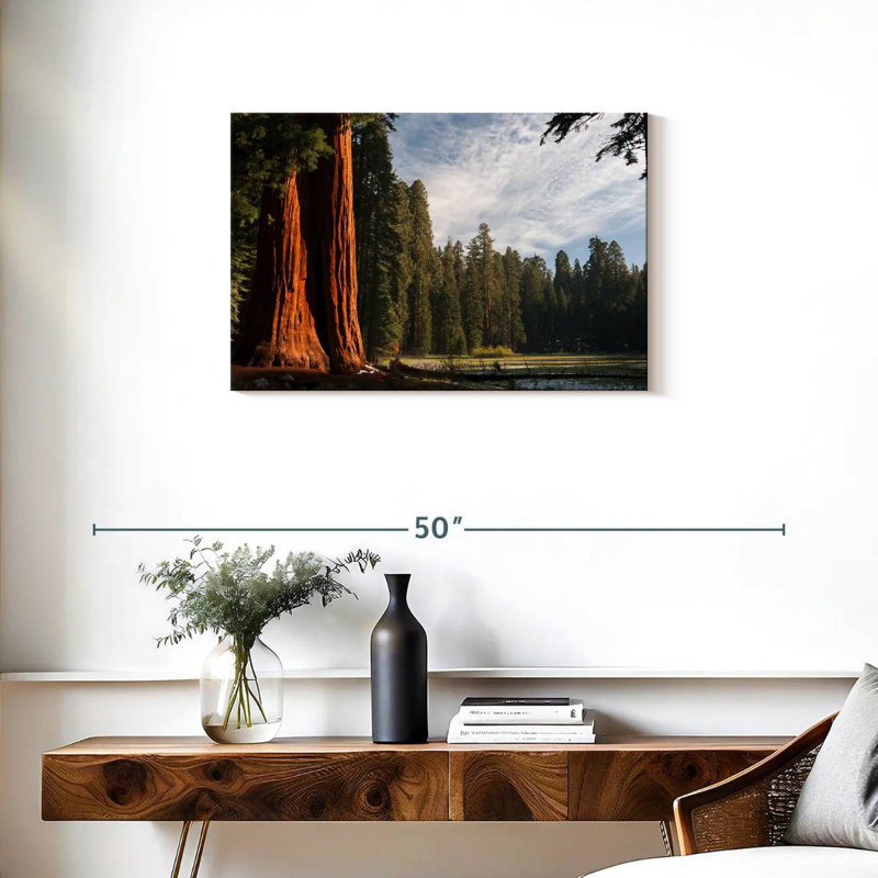 Arbres séquoia Harnek Kings Canyon, H 20 po x l 30 po