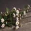 Arrangement-34404671