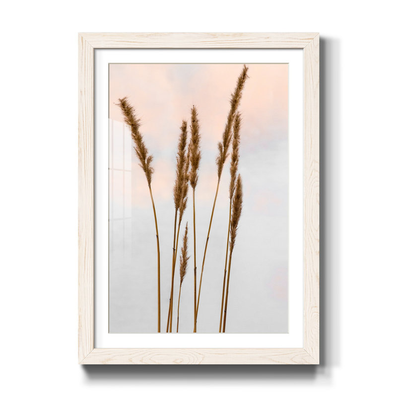 Zen Succulent IV - Reproduction d'art graphique sur papier encadré, H 44 po x l 31 po x P 1 po, Blanc
