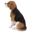 Statue Beagle