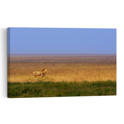 Majestic African Lion Peaceful Serene Abstract Cat Lion Landscape Nature Wall Art Print 1 Piece Wrapped Canvas Wall Art