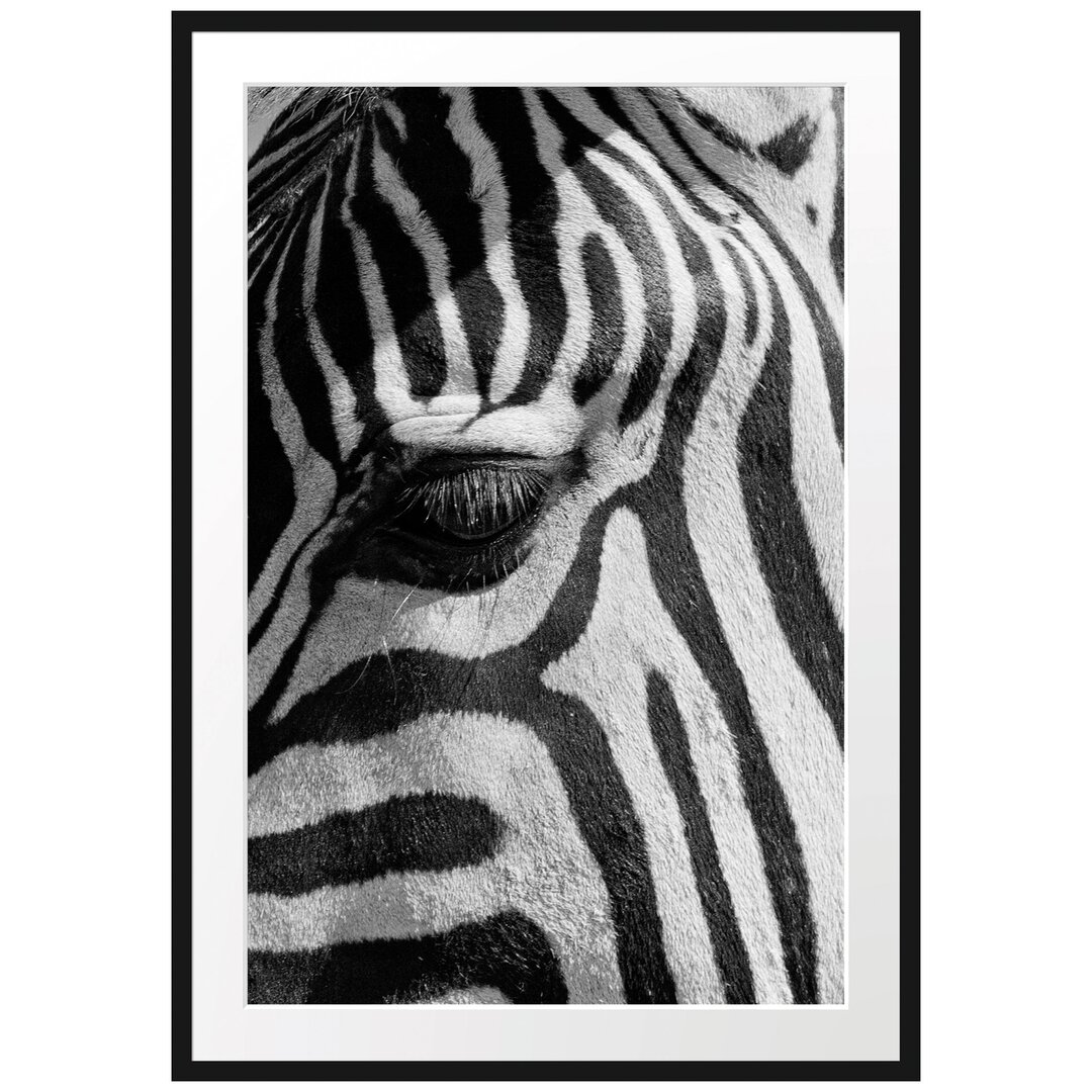 Gerahmtes Poster Zebra Porträt