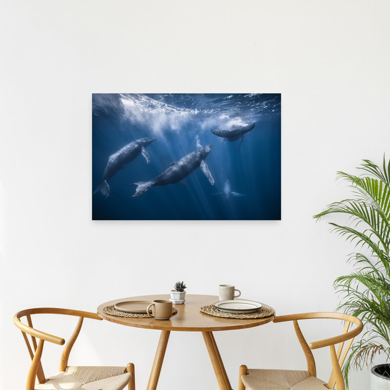 Sunlit Ocean Whales Peaceful Serene Tranquil Whale Nature Ocean Wall Art Print 1 Piece Wrapped Canvas Wall Art