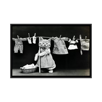Kitty Laundry - Giclée sur toile tendue avec châssis