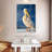 Brampt Shy Pelican-108479421