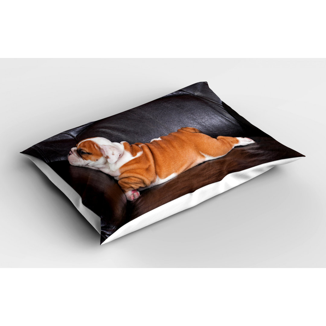 English Polyester Sham Set Ambesonne