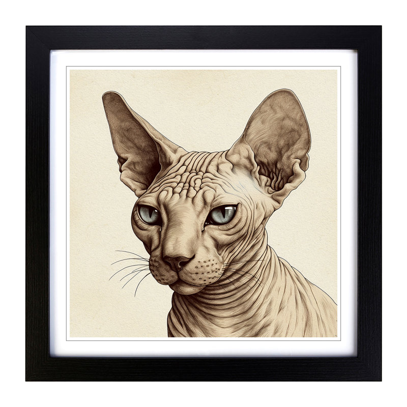 Sphynx Cat Drawing - Framed Print