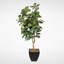 Faux Fiddle Leaf Fig Tree in Metal Planter