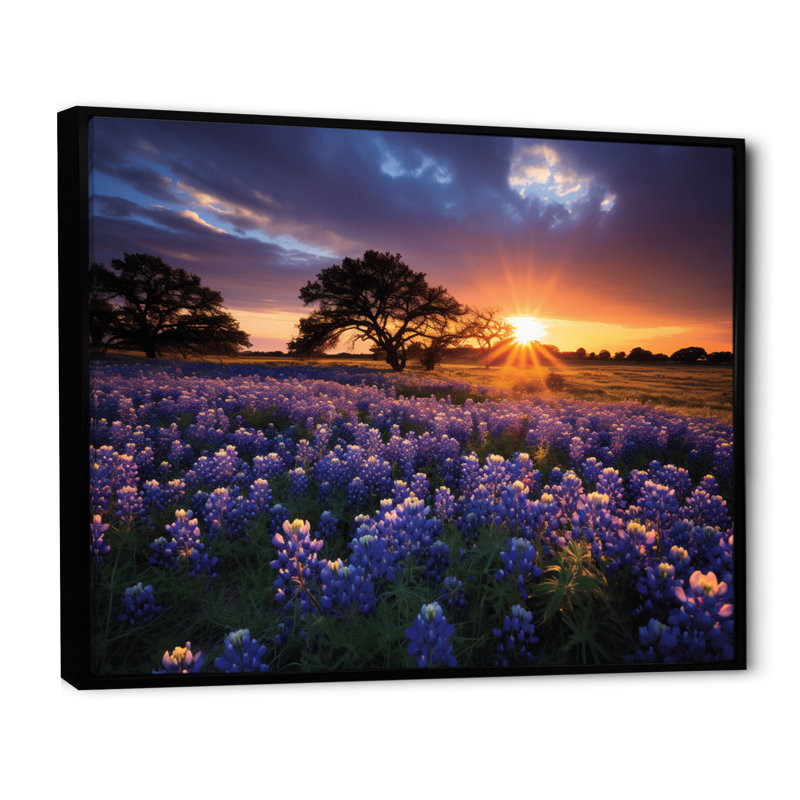 " Sunrise Blue Bonnets Field III ", 30" H x 40" W x 1.5" D, Black Floater Framed