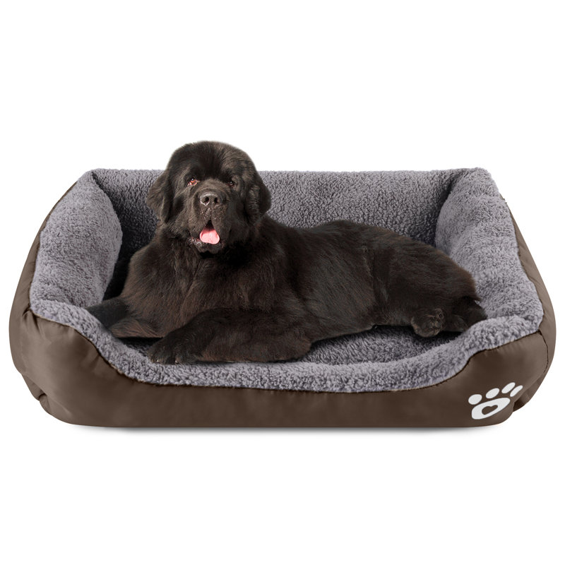Lit pour chien Goncalves, Café, Grand (l 37,4 po x P 29,5 po x H 5 po)