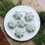 Nordic Ware Frozen Snowflake Non-Stick Cakelet Pan