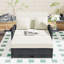Chaise longue double en PE avec dossier réglable, repose-pieds et coussin confortable-1865594835-1865594836