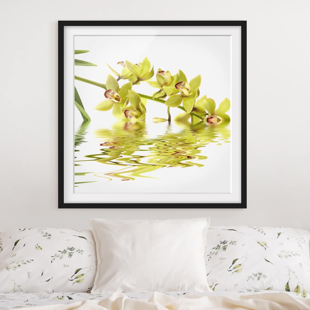 Gerahmter Kunstdruck Elegant Orchid Waters