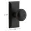 Ageless Iron Vale Plate with Keep Knob