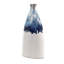 Vase plat Fusion Ombre-29200015