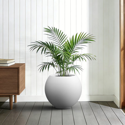 Grand pot à fleurs rond en béton blanc 19,5 po avec intérieur amélioré et trous de drainage pour l'intérieur et l'extérieur