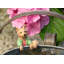 Cintre Beatrix Potter Mr Tod Pot Buddy