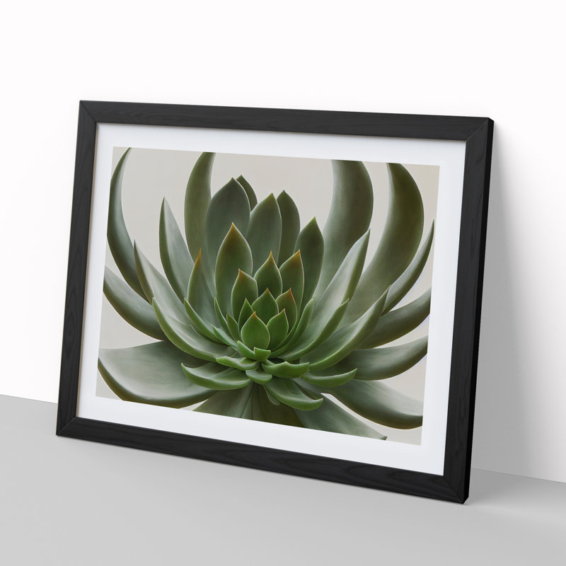 Luscious Succulent Plant - Single Picture Frame Print, 46cm H x 64cm W x 2cm D, Black