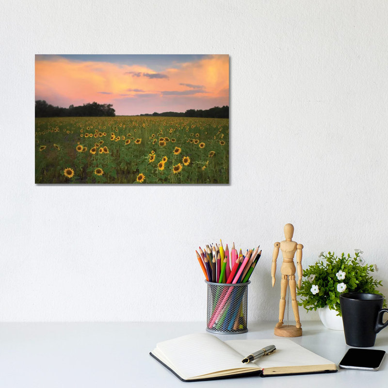 Common Sunflower Field Near Flint Hills National Wildlife Refuge, Kansas 1 Piece Wrapped Canvas Wall Art