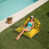 Toile jaune tournesol