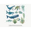 Ocean Animal Wall Decals, Set of 12 Peel and Stick Nursery Wall Stickers, Satin Finish Removable Kids Room Wall Art, 20"W x 20"H (50 x 50 cm)-172691877