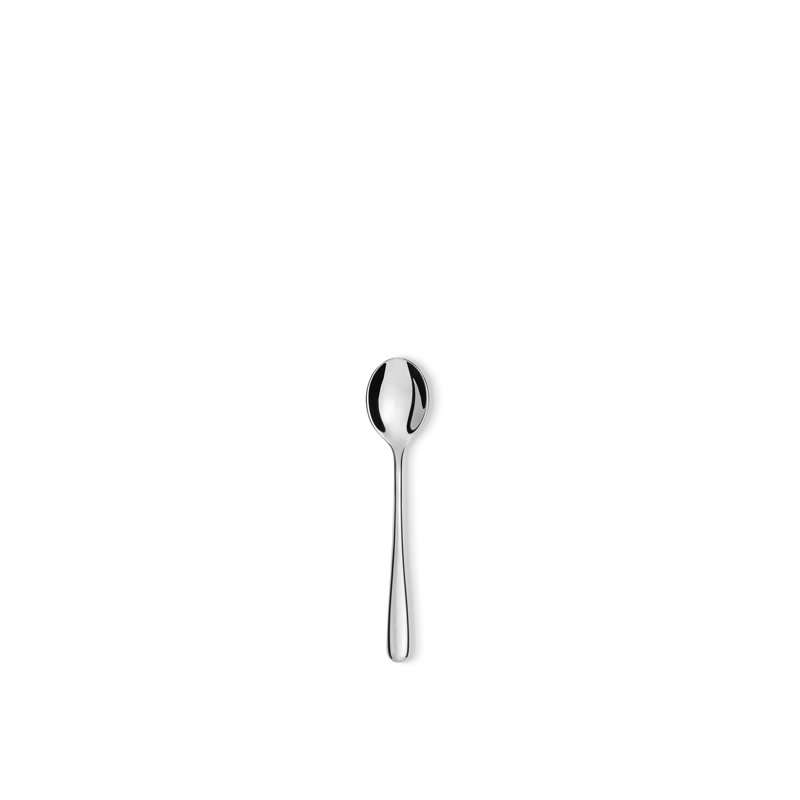 Caccia Stainless Steel Ice Scream Spoon
