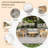 Guzal 3 - Piece Acacia Wood Patio Outdoor Conversation Set With Cream Cushions