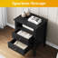 Philomena 2 Drawer Nightstand-552424285