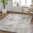 Rectangle Rentschler Machine Woven Polypropylene Area Rug in Gray-1289267336