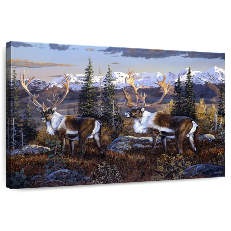 Caribou Brampt, H 24 po x l 36 po