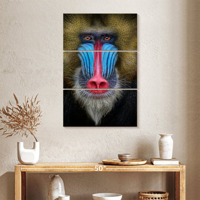 Singe Brampt