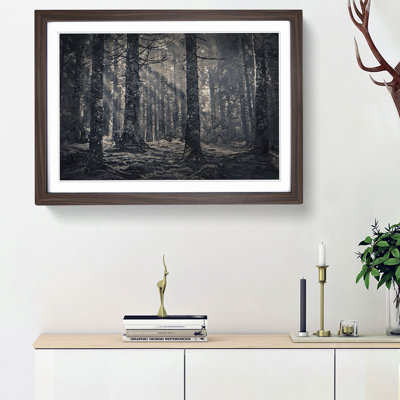 Pine Tree Forest - Picture Frame Graphic Art Print