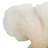 Amanda 13.15" Polystone Coral Decorative Sculpture