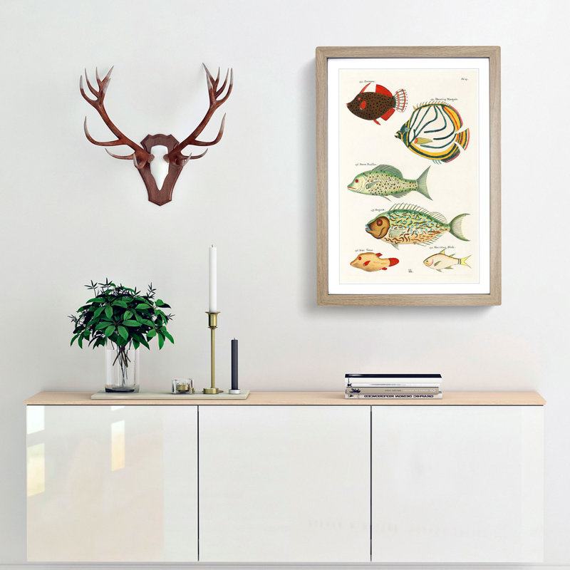 East Indies Fish Illustrations Fol. 23 by Louis Renard - Picture Frame Painting Print, 36cm H x 27cm W x 2cm D, Oak Framed
