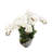 Orchid Arrangement in Tray