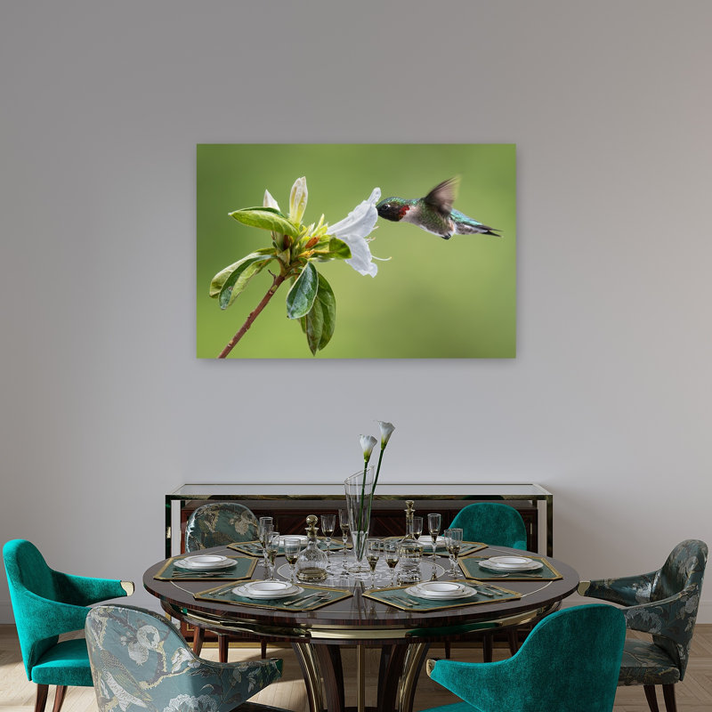 Colibri à gorge rubis, délicat et vibrant, abstrait, oiseau volant une fleur, nature, impression d'art mural, 32" H x 48" W