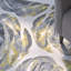 Harvey Floral Area Rug in Graphite/Yellow-1455423610