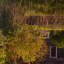 Frame of Reference by Shade Degges-1127520009