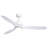 Ballog 52'' Ceiling Fan with LED Lights-342860766