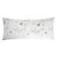 Prospect Park Lumbar Velvet Pillow Cover & Insert-1450345336