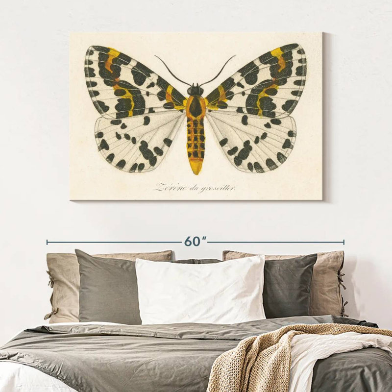 Brampt Natures Butterfly IV, 34" H x 51" W
